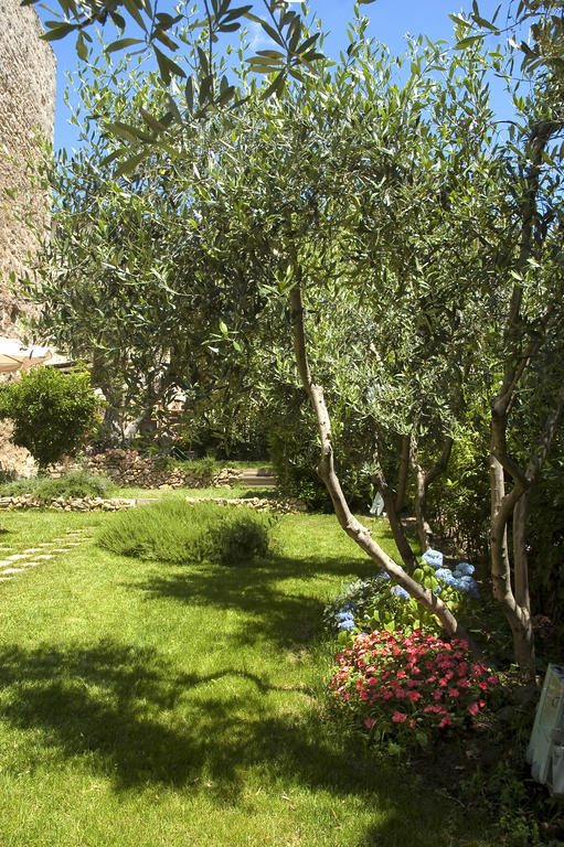 מליאנו אין טוסקנה Locanda Delle Mura Anna De Croy מראה חיצוני תמונה