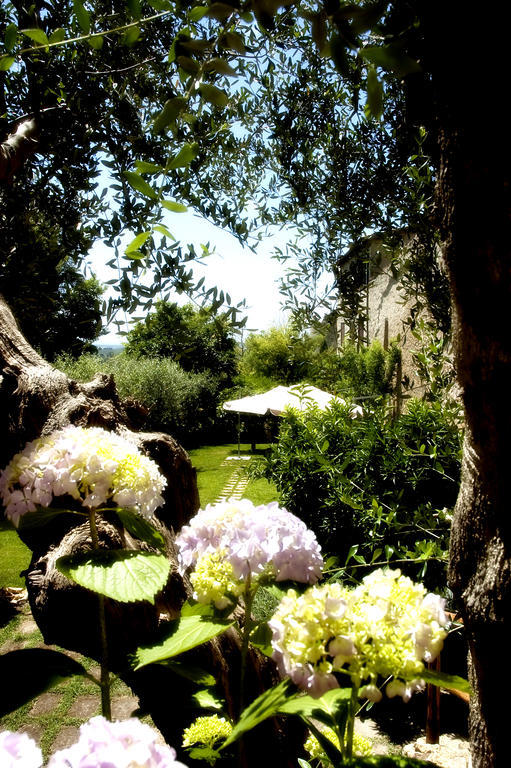 מליאנו אין טוסקנה Locanda Delle Mura Anna De Croy מראה חיצוני תמונה